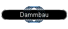 Dammbau