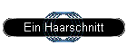 Ein Haarschnitt