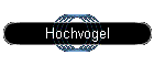Hochvogel