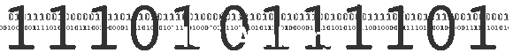 Holi Amberg