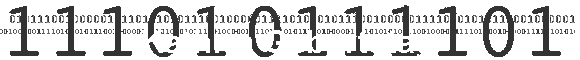 Kathrin Geburtstag