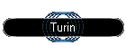 Turin