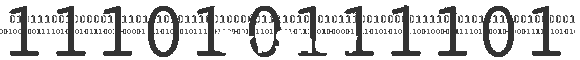 Ski Show