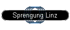 Sprengung Linz