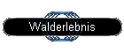 Walderlebnis